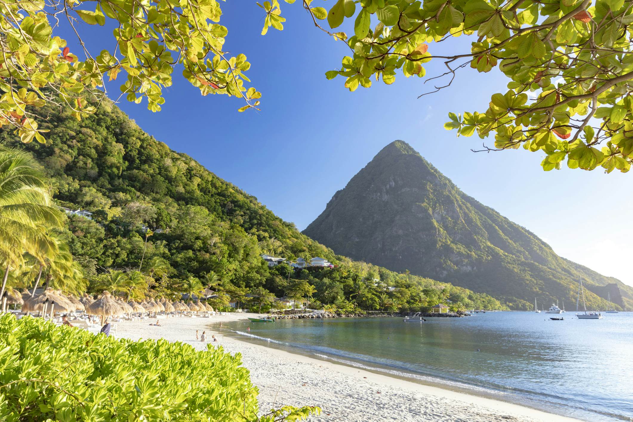 Best time to visit St Lucia Lonely Lonely